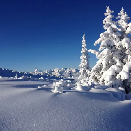 Appartement Romantika & Barbara Wagrain