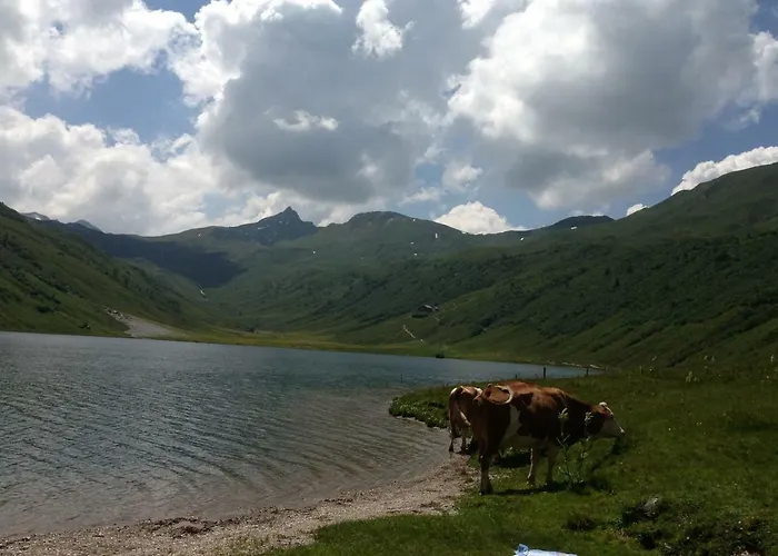 Daire Romantika & Barbara