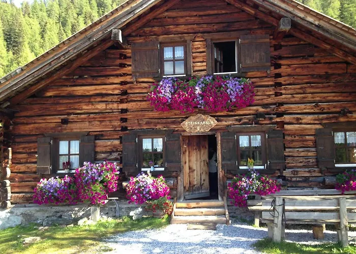 Romantika & Barbara Daire