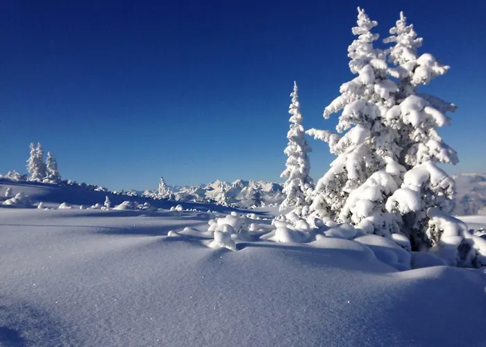 Daire Romantika & Barbara Wagrain